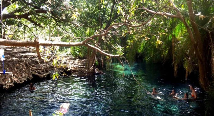 Kikuletwa Hot Volcanic Springs 2 Kikuletwa Hot Volcanic Springs 2