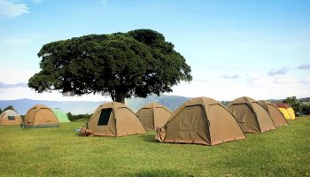 4 Days Budget Camping Safari
