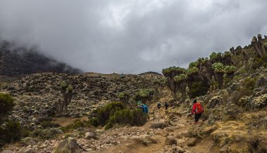kili10f