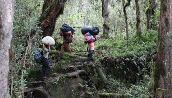 7 Days Kilimanjaro Trekking via Machame Route