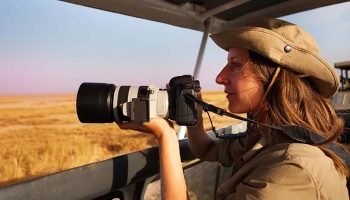 12-Day Golden Photography Safari Package
