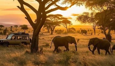 replacement replacement